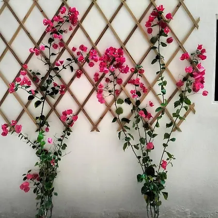 Casalara Garden Апартаменты *